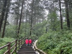 -峨眉山风景名胜区