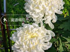 -广州文化公园