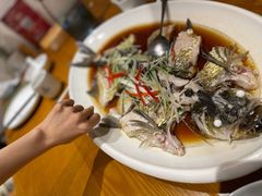 翘嘴鲌鱼-丹江渔村(望京店)