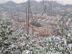 -南山植物园