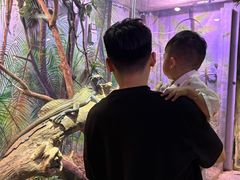 -正佳雨林生态植物园