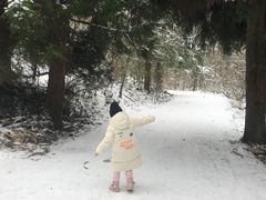 -武陵山森林公园