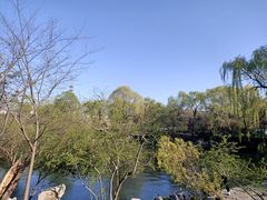 -百脉泉景区