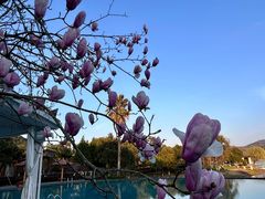 -宁波九龙湖开元度假村