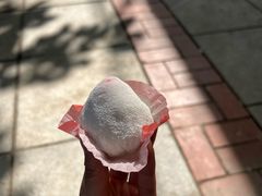 -澳门长洲糯米糍(柯打苏沙街店)