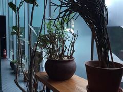 -半山腰·云南菜(侨福芳草地店)
