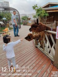 -三分地生态园·儿童乐园