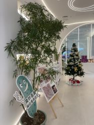 -紫琪尔·匠心连锁·胸部护理养护