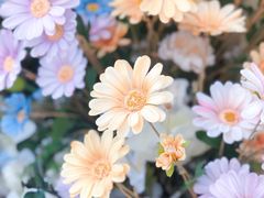 -常熟路(地铁站)