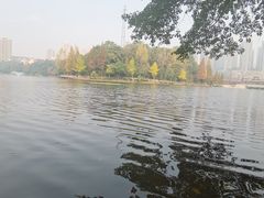 -重庆彩云湖湿地公园