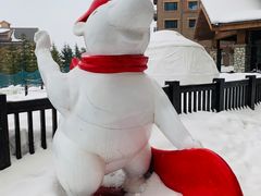 -长白山万达喜来登度假酒店