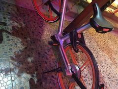 -西涌国际滨海旅游区