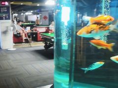 -阳光台球俱乐部