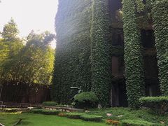 -澳珀食堂