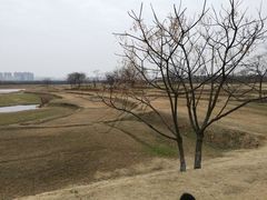 -盘龙城国家考古遗址公园