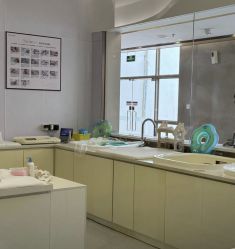 -爱帝宫月子中心(罗湖别墅院)