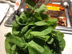 -海底捞大排档火锅(悦荟广场店)