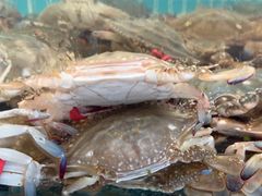 -聚德福海鲜家常菜(刘庄店)