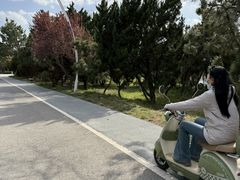 -山东八大碗山东老字号