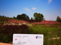 -常德桃花源景区