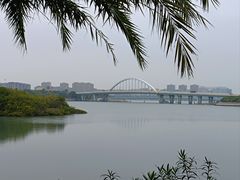 -五缘湾湿地公园