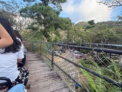 -海南槟榔谷黎苗文化旅游区