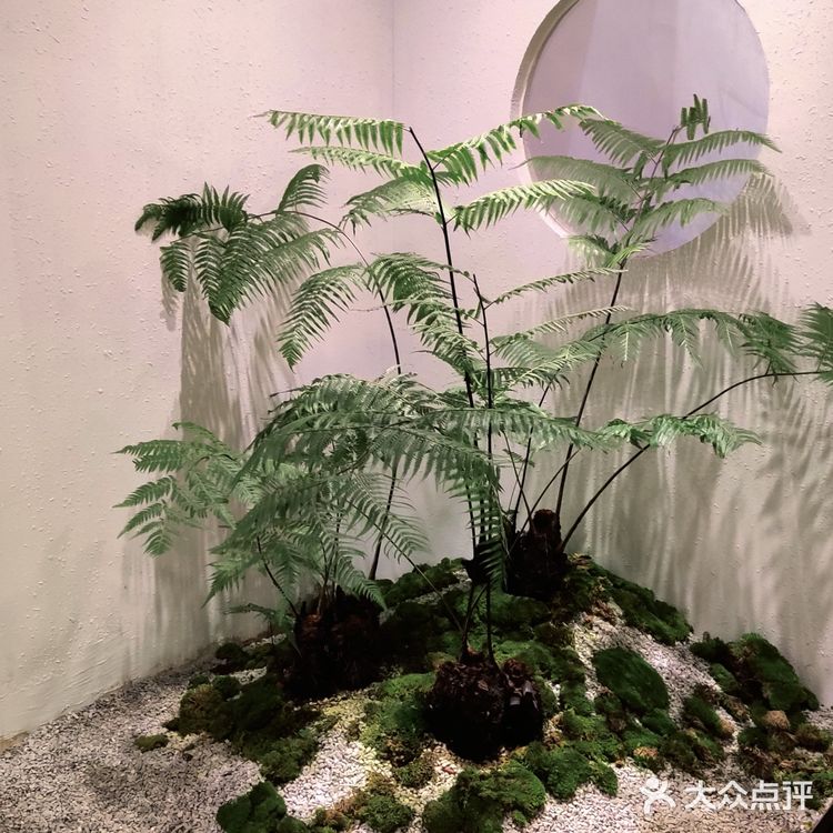 盲选餐厅探店，一开始以为只是按摩spa完附属补水饮品