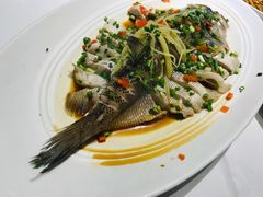 清蒸江团鱼-眉州东坡(民族园店)