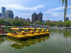 -团结湖公园