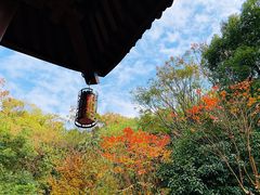 -杭州半山国家森林公园