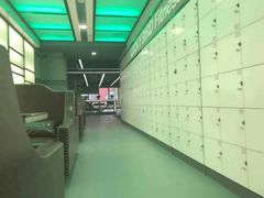 -金吉鸟健身游泳