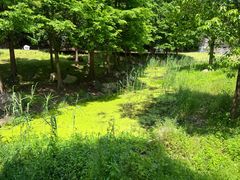 -东钱湖旅游度假区