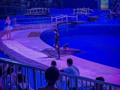 -华夏文旅海洋公园