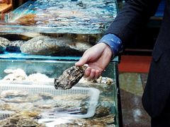 -渔人湾码头海鲜市场负二楼