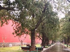 -北京市劳动人民文化宫(太庙)