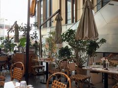 -O'eat Blossom&Pelican(深圳首店)