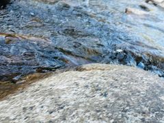 -楠溪江风景名胜区