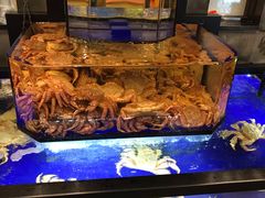 -蟹道乐(道顿堀本店)