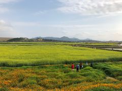 -光明小镇欢乐田园