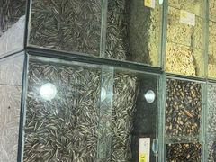 -刘艳明炒货(小心桥店)