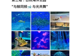 -日照海滨国家森林公园