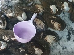 -八仔大富楼·河鲜(西江店)