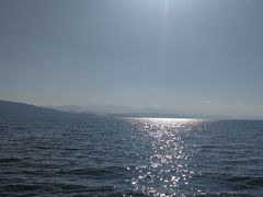 -才村湿地公园