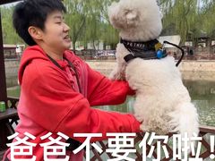-尚庄度假村·庭台树下·户外烧烤·团建CS·轰趴营地(上庄水库店)