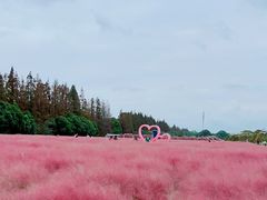-嘉北郊野公园