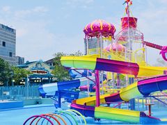 -海合安成都极地海洋公园