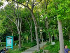 -南翔镇银翔湖公园