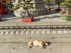 -太平禅寺