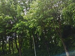 -宜兴龙背山森林公园