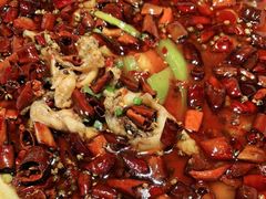 -雲蜀龙阁·金牌水煮鱼(方庄店)